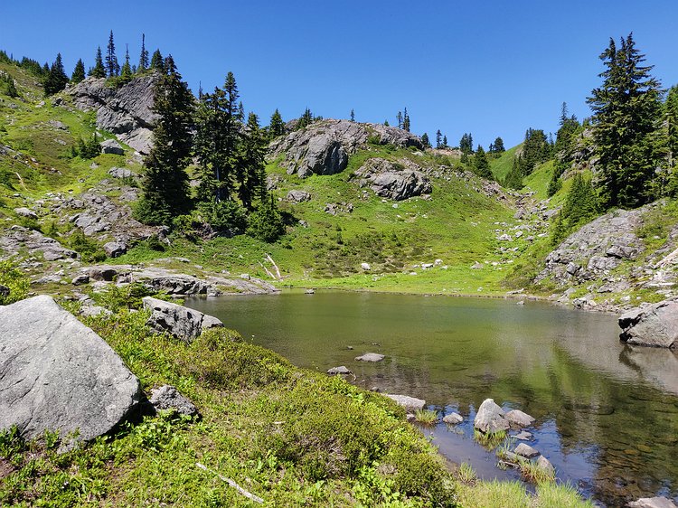 2019-07-20 14.15.23 One of several pretty tarns between Lake Lillian and Rampart Ridge and Lakes.