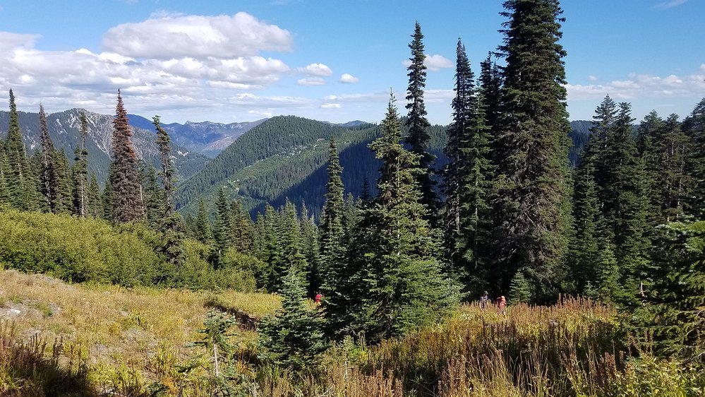 20190831_160810 Emerging from the forest into Thorp Mountain's summit meadow.