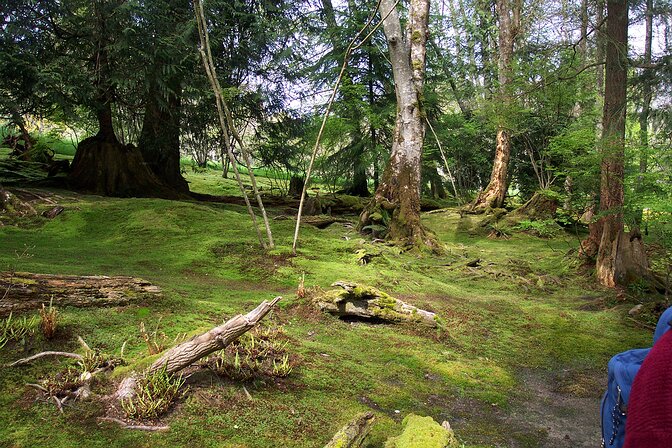dcp_1639 The moss garden. The coolness of this spot didn't quite translate to film.