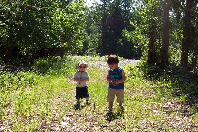 dcp_0890 Aidan and Gavin out for a little stoll in the woods.