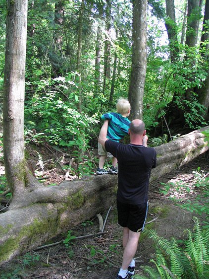 img_3495 Gavin's found a handy assistant to help him walk on this nurse log.