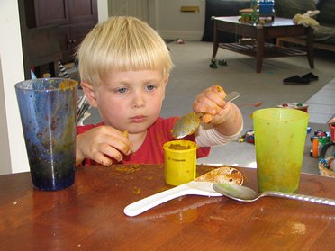 Gavin's Curry and Cinammon Science Experiment