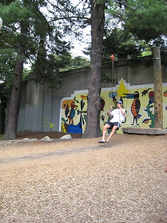 img_0289