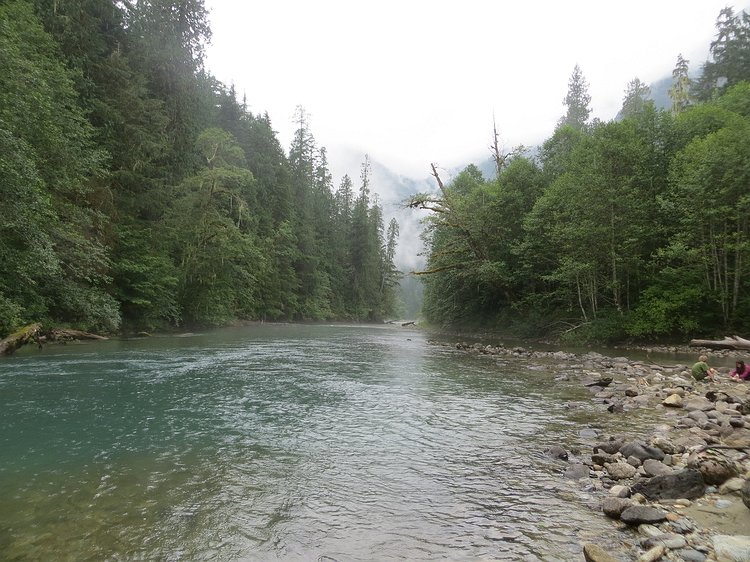 img_9464 Our view down the Cascade River. Looking the other way was similarly scenic as the rest of the campground's access to the river was a quarter mile away around a...