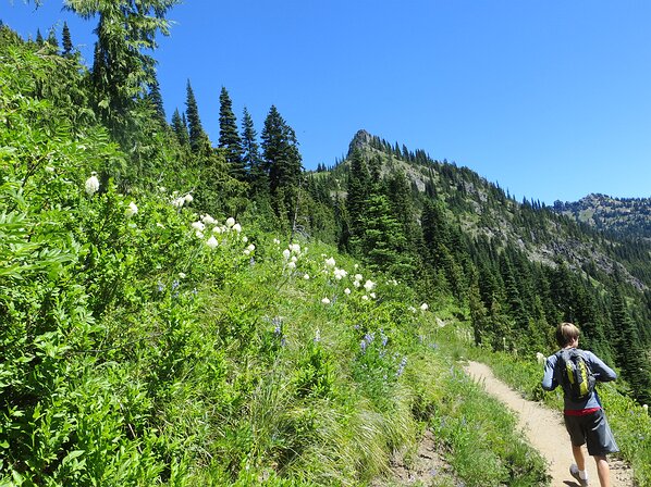 img_3863 Traversing along the hill towards Sheep Lake.