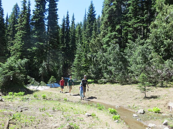 img_3864 Entering the area we lost the trail for a bit.