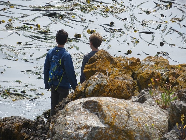 img_4276 Aidan and Gavin contemplate the meaning of life while staring at all the kelp.