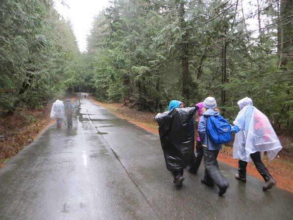 img_5113 Trudging up in the rain on the road didn't make for the greatest hike in the weather. Gavin is speed hiking his way up ahead.