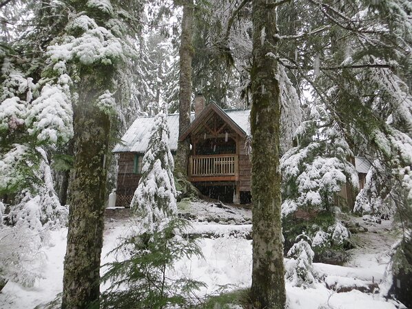 img_5158 We ended up getting a few inches of snow to make for a lovely scene in the morning.