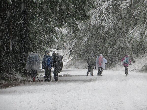 img_5161 Snowing hard as our intrepid travellers head down.