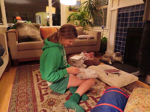 img_0010 I wonder what's in the wrapping paper? Could it be books?