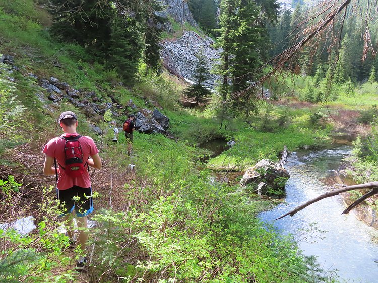 img_1771 Here we are about a third of the way to Source Lake in a pretty open area. The trail is long gone and we've been busy bushwhacking our way upstream. The talus...