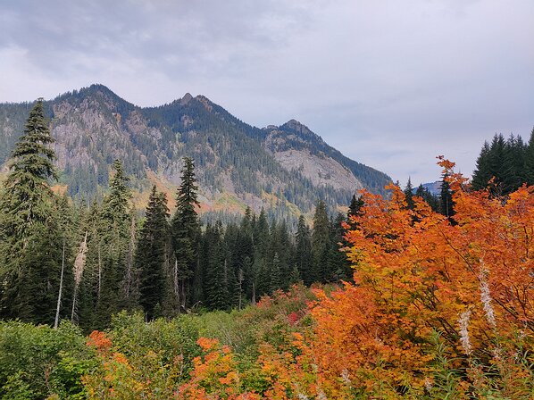 2022-09-28 10.38.16 Martin took a solo hike up the Gold Creek valley to enjoy the fall colors and explore and area he'd never been.