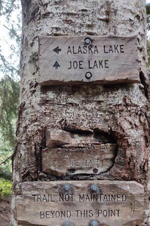 2022-09-28 12.15.11 At the start of the hike it was unclear if the final destination was going to be Alaska Lake, Joe Lake, or, perhaps, both. After taking one look at the...