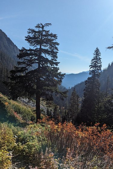 2024-10-13 12.49.14 Looking back after climbing most of the way up to Melakwa Pass.