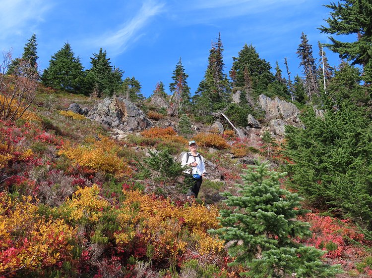 img_6137 Fall is falling in the mountains. Kathryn looking happy to be heading back down. We made it down just before darkness. That'll teach us to start hiking at noon....