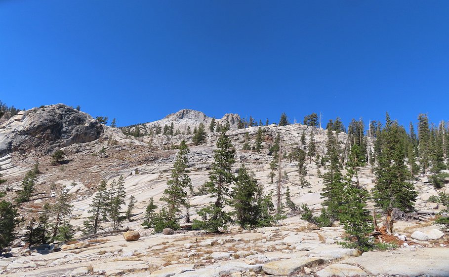 img_6035 The early part of the hike climbed through a granite field with erratics and sparse trees.